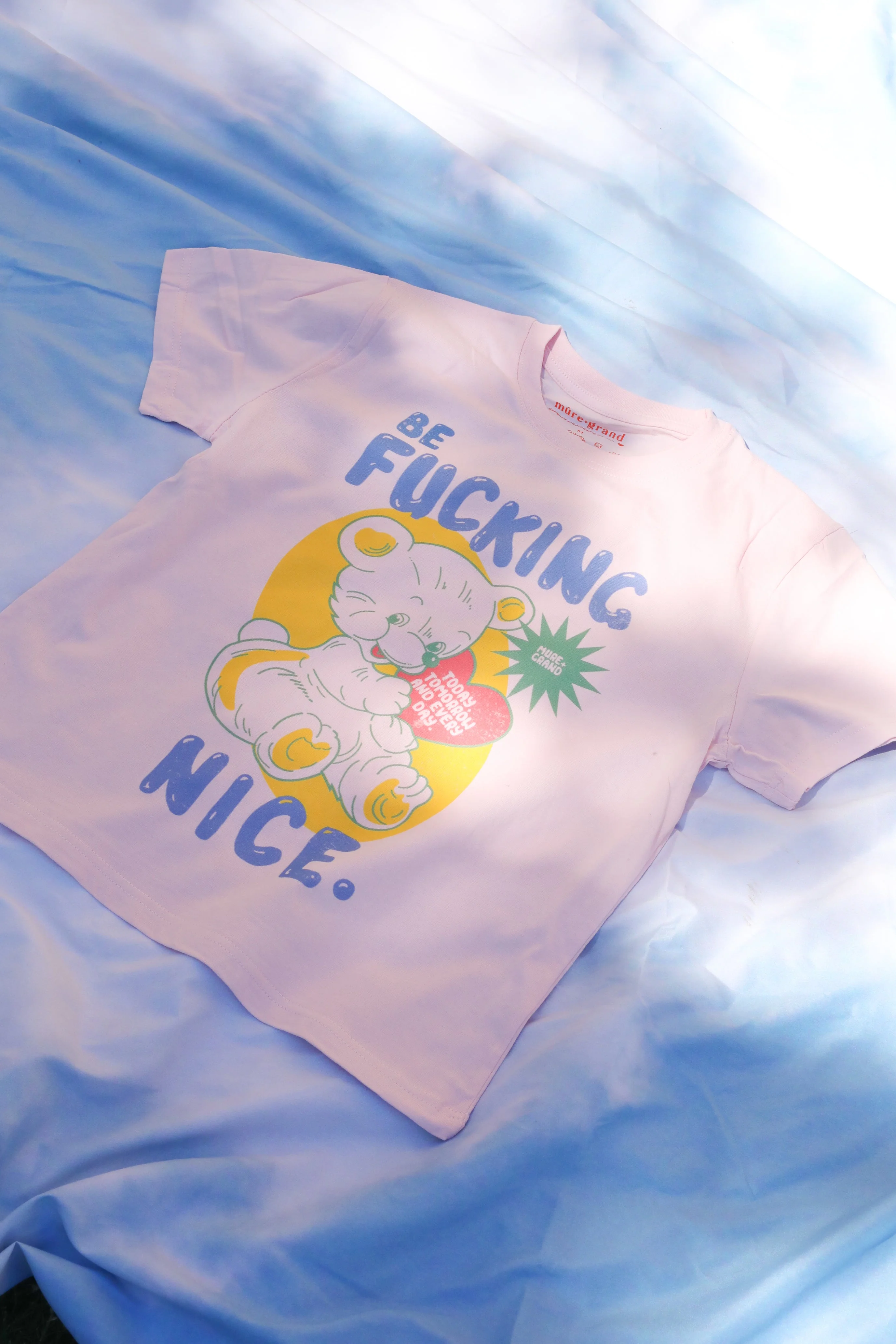 Be F*ing Nice Graphic T-Shirt - Image 6