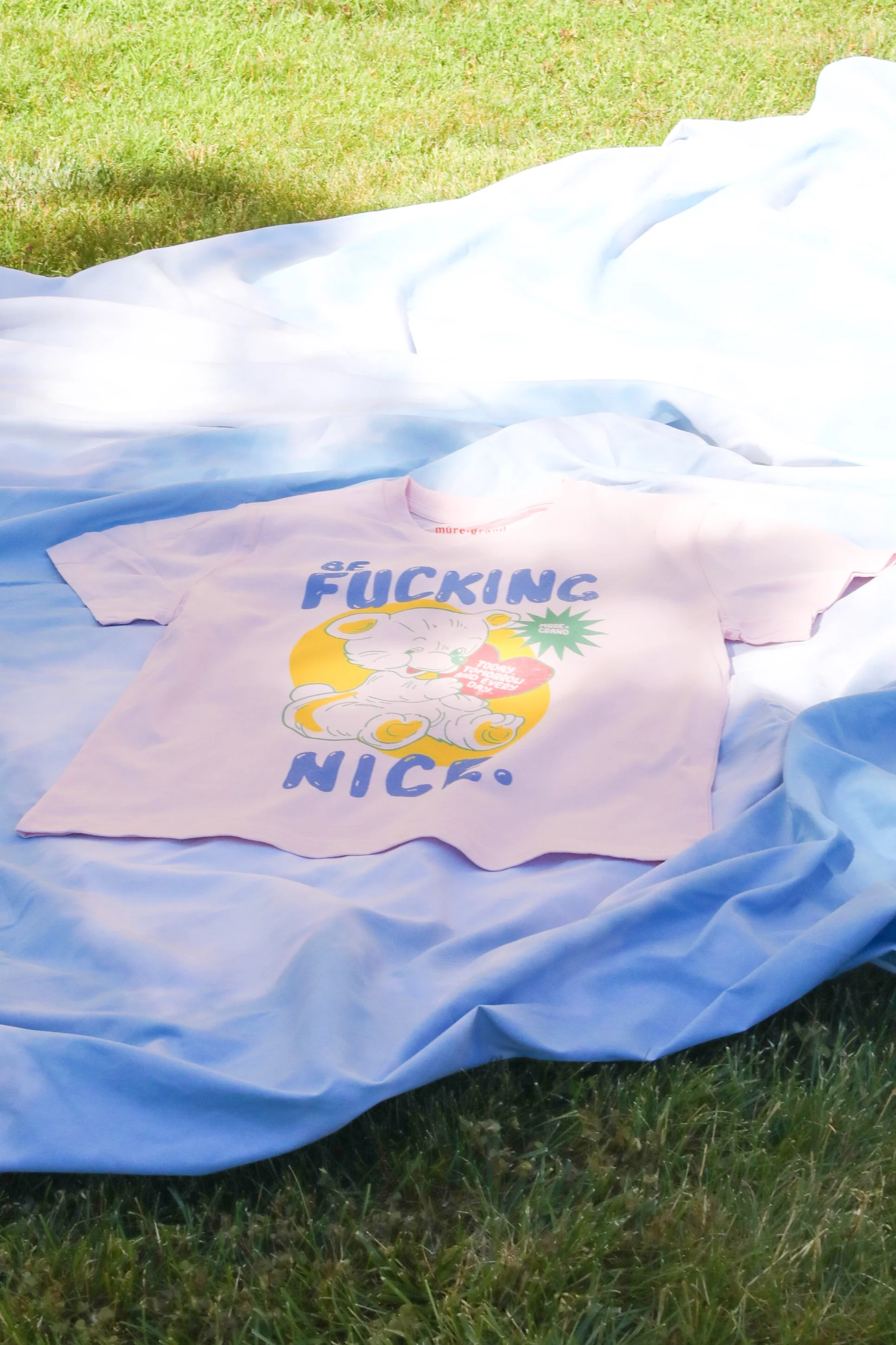 Be F*ing Nice Graphic T-Shirt - Image 7